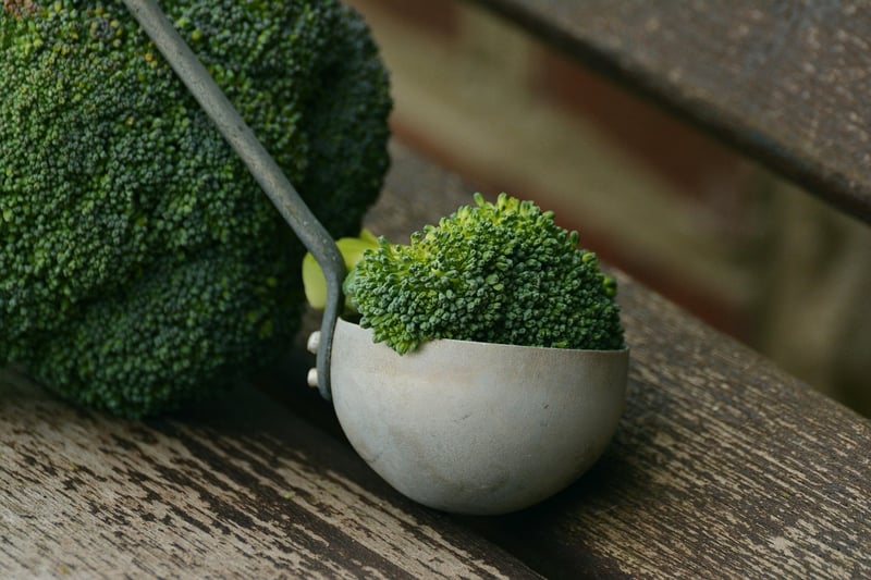 Salmon with Steamed Broccoli